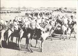 72346609 Sudan Camelherde National Gatherings - Otros & Sin Clasificación