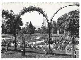 13 Marseille - La Roseraie  Du Parc Borely - Ohne Zuordnung