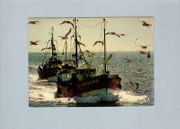 Bateaux De Pêche - Fischerei