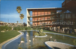 72222375 Marineland Flamingo And Penguin Pool - Andere & Zonder Classificatie