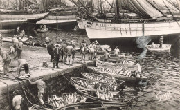 CONCARNEAU : DEBARQUEMENT DU THON - Concarneau