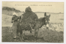 ILE D'OLÉRON : La Récolte Du Varech - Ane (z3912) - Ile D'Oléron