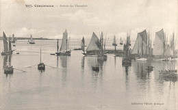 CONCARNEAU : ARRIVEE DES THONIERS - Concarneau