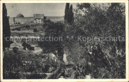 72173922 Jerusalem Yerushalayim Garten Gethsemane  - Israele