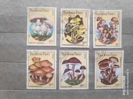 1985	Burkina Faso	Mushrooms (F97) - Burkina Faso (1984-...)