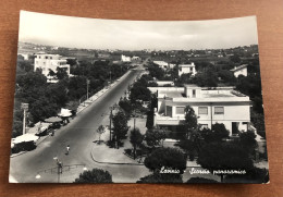 LAVINIO ( ROMA ) SCORCIO PANORAMICO 1959 - Andere & Zonder Classificatie