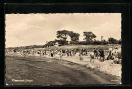 AK Zingst / Ostseebad, Strand Mit Badegästen  - Zingst