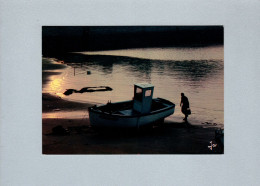 Bateaux De Pêche - Fishing Boats