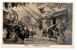 Chantecler , ACTE I , L'arrivée De La Faisane   , E.L.D. - Oiseaux