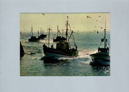 Bateaux De Pêche - Fishing Boats