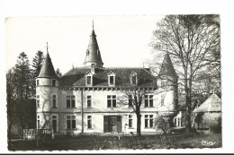 MONTCEAU "Le Chateau" - Ruy-Montceau - Other & Unclassified