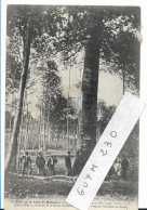 Le Hêtre De La Forêt De MARCHAUX - Other & Unclassified