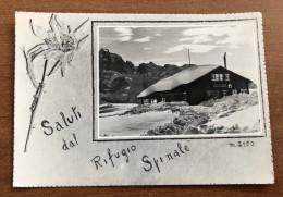 SALUTI DAL RIFUGIO SPINALE ( TRENTO ) MADONNA DI CAMPIGLIO 1960 - Trento