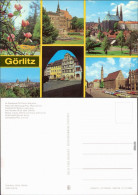 Görlitz Zgorzelec Im Stadtpark, Platz Der Befreiung  Leninplatz Uvm 1980 - Goerlitz