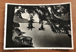 DOLOMITI DI BRENTA ( TRENTO ) MOTIVO SUL LAGO DI MALVENO 1957 - Trento