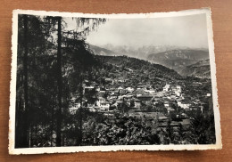 ALBIANO ( TRENTO ) PANORAMA CON LE DOLOMITI DI BRENTA 1954 - Trento