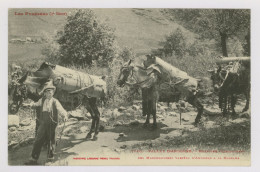 Vallée D'Andorre : Muletiers Transportant Des Marchandises Variées D'Andorre à La La Massana (z3941) - Andorra