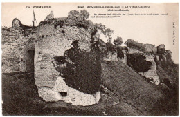 76 / ARQUES-LA-BATAILLE - Le Vieux Château - Arques-la-Bataille