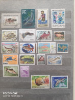 Different Countries	Fishes (F97) - Collections (without Album)