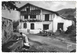 40 Le Pays Basque - Type De Ferme Basque - Cachet Depart Hossegorlage - Autres & Non Classés