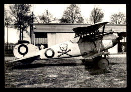 AVIATION - MONOPLAN DE CHASSE ALBATROS D-S - GUERRE14/18 - CARTE MODERNE PUBLICITE TRANSFUSINE - 1946-....: Moderne