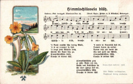 H2221 - Litho Anton Günther Liedkarte - Himmelschlüssela Blüh .... Erzgebirgisches Volkslied - Musica E Musicisti