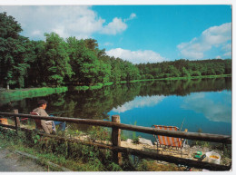 La Vallée De La Cour - Environs De Bagnoles De L'Orne - Bagnoles De L'Orne