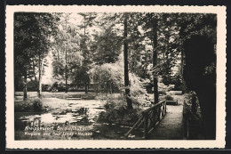 AK Berggiesshübel, Kurpark Des Paul Linde-Hauses  - Sonstige & Ohne Zuordnung