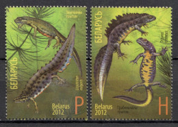 Belarus 2012 Bielorrusia  / Amphibians Newts MNH Anfibios Tritón Amphibien / Cu22104  27-29 - Kikkers