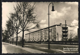 AK Berlin-Baumschulenweg, Köpenicker Landstrasse Mit Bäumen  - Treptow