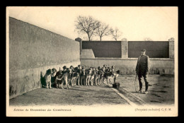 CHASSE - CHASSE A COURRE - DOMAINE DE COMBREUX - MEUTE AU CHENIL - Jagd