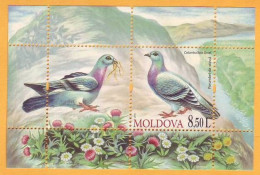 2010  Moldova Moldavie Moldau Fauna Birds  Block 50 Mi  Pigeons Mint - Palomas, Tórtolas