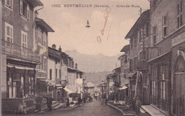 MONTMELIAN - Montmelian