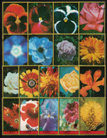 AJMAN 1972 - Flowers / Complete Sets - Ajman