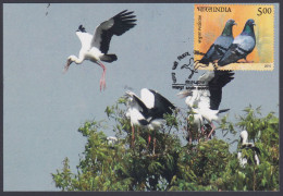 Inde India 2012 Maximum Card Ghana Pakshi Vihar, BHaratpur, Stork, Bird, Birds, Storks, Pigeon, Max Card - Lettres & Documents