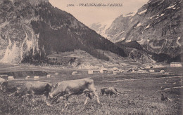 PRALOGNAN LA VANOISE(VACHE) - Pralognan-la-Vanoise