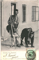 Bucuresti 1903 - Salutari Din Romania - Bear - Roumanie