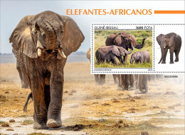 2024-04 - CENTRAL AFRICAN - ELEPHANTS                  1V  MNH** - Elephants