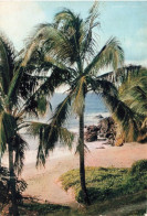 FRANCE - Bouillante - Vue Sur La Plage - Colorisé -  Carte Postale Ancienne - Sonstige & Ohne Zuordnung