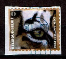 Tijger Uit 2013 (OBP 4346 ) - Gebruikt