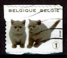 Kittens Uit 2010 (OBP 4011 ) - Used Stamps