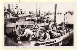 01483 / QUIBERON 56-Morbihan SARDINIER N°5593 Retour De Pêche Débarquement De La Sardine 1930s - LOÏC NEL 1762 - Quiberon