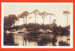 01402 / Carte-Photo Paysage LANDAIS Ou GIRONDE Ou PAYS BASQUE Lac Dune Pins à Localiser 1940s - Andere & Zonder Classificatie