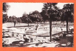 01377 / ⭐ DAX 40-Landes Piscine Les BAIGNOTS Et Le Parc 1950s à LOURDELLE Grande Rue Rabastens / Photo-bromure CAP 118 - Dax