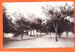 01376 / Peu Commun LE VIEUX-BOUCAU-LES-BAINS 40-Landes L' ABRI-COTIER La Colonie De Vacances 1950s VAN-EYK-ROULEAU  - Vieux Boucau