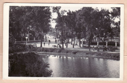 01004 ● Carte-Photo Région TONG SONTAY Rue Lac Parc Jardin 1930s Issue Album ROSSIGNOL 4em RAC Coloniale Indochine - Viêt-Nam