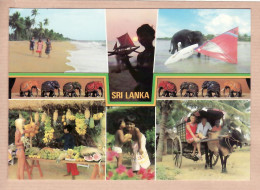01053 ● Sri-Lanka Beach SUNST- Children Smile -Fruit Stall CART RIDE 1975s- LALITH De SILVA Ceylon - Sri Lanka (Ceilán)