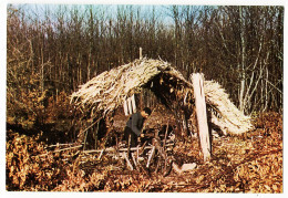 01217 / Dordogne Perigord Metier Artisanat LE FEUILLARDIER Au TRAVAIL Artisan Du PANIER 1975s - RENE Marsac Isle Cpag - Otros & Sin Clasificación