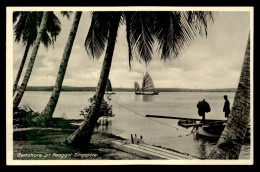 SINGAPOUR - SEASHORE AT PONGGOL - Singapore