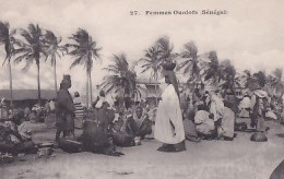 SENEGAL             FEMMES OUOLOFS - Senegal